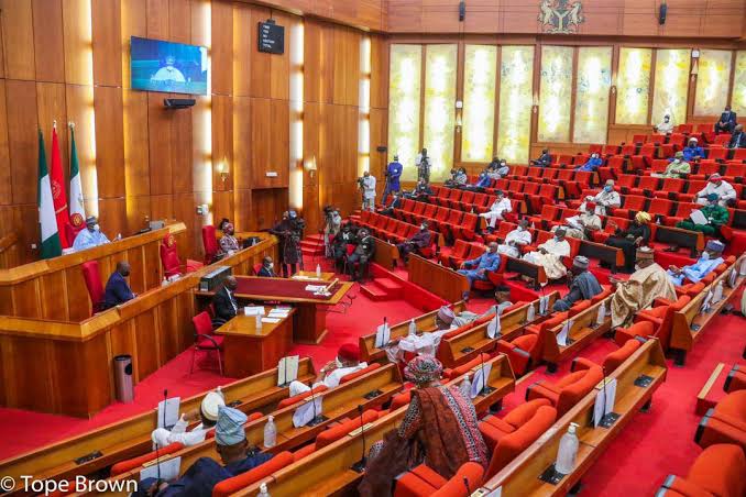 Senate Chamber during a plenary session.